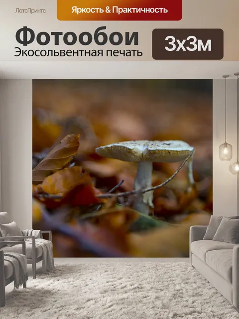 Фотообои грибы
