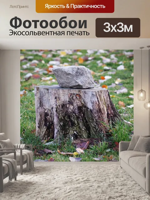 Фотообои Пень