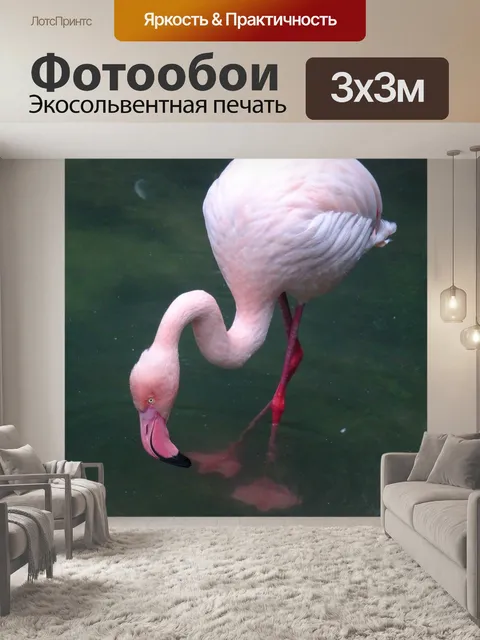 Фотообои Фламинго
