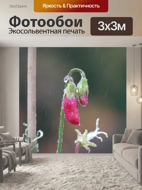 Фотообои Дождь