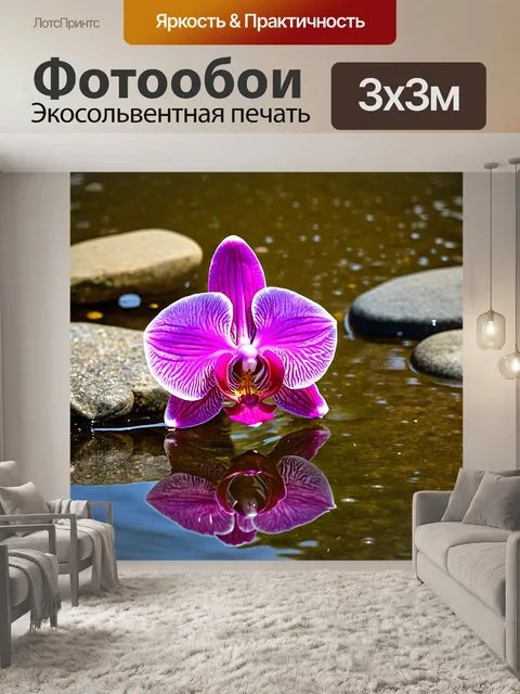 Фотообои орхидея с отражением в водной глади с камнями на берегу