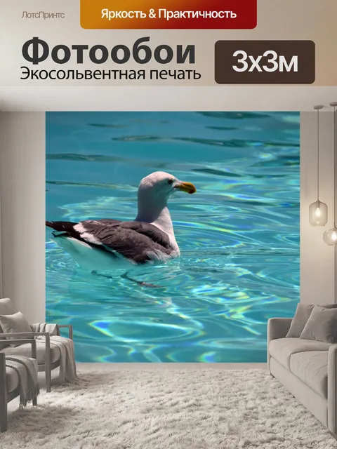 Фотообои чайка в бассейне