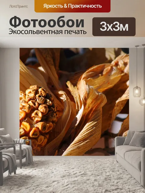 Фотообои сморщенные зерна кукурузы в початках