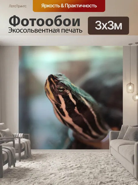 Фотообои Черепаха