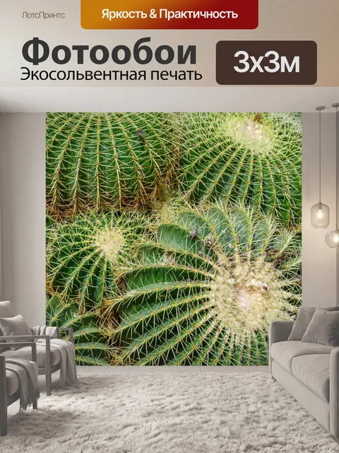 Фотообои Бочковой кактус