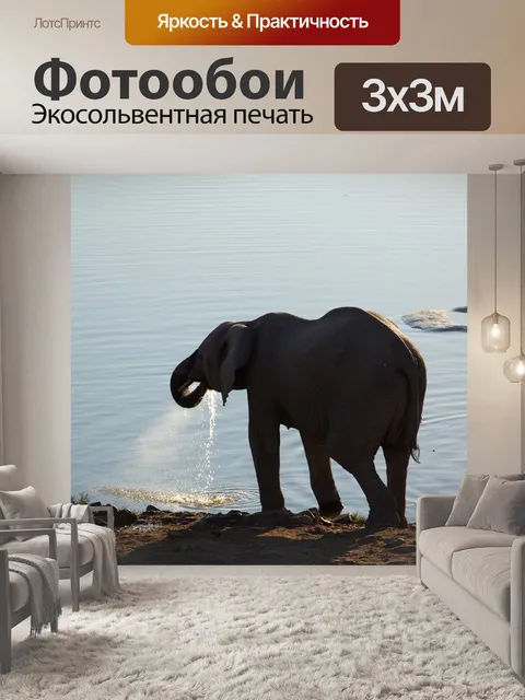 Фотообои Сафари