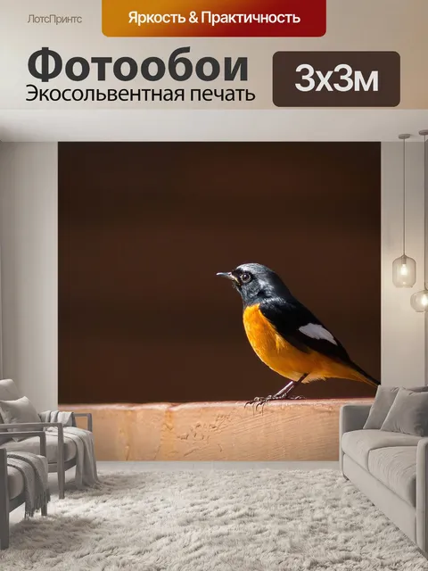Фотообои Птицы красный живот