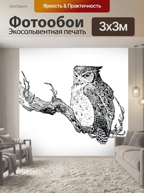 Фотообои Винтажная сова старая иллюстрация