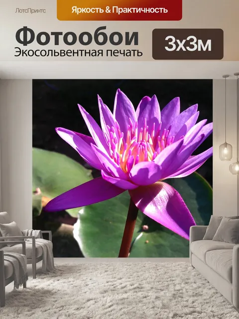 Фотообои Водяная лилия