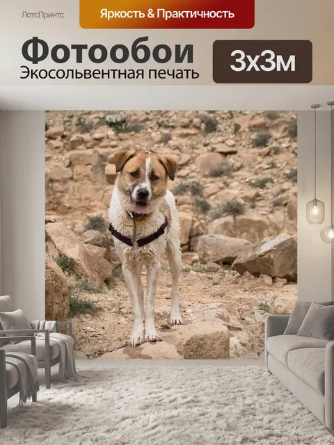 Фотообои Природа