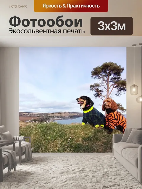 Фотообои Собаки