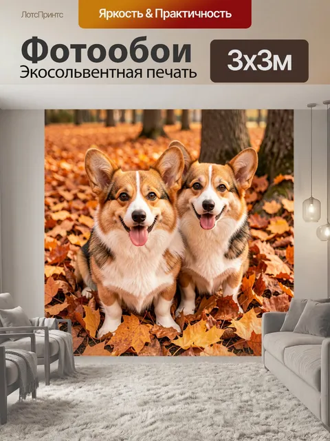 Фотообои Два корги в осеннем лесу
