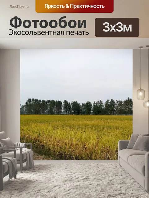 Фотообои Рисовые поля