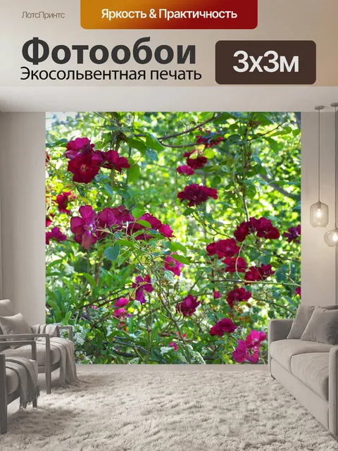 Фотообои Розы