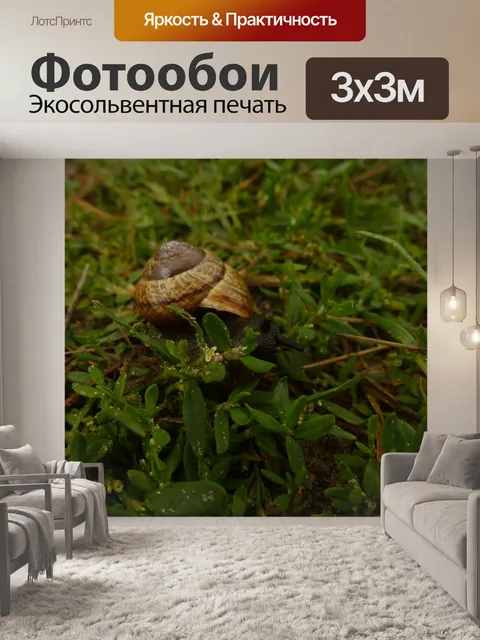 Фотообои Улитка