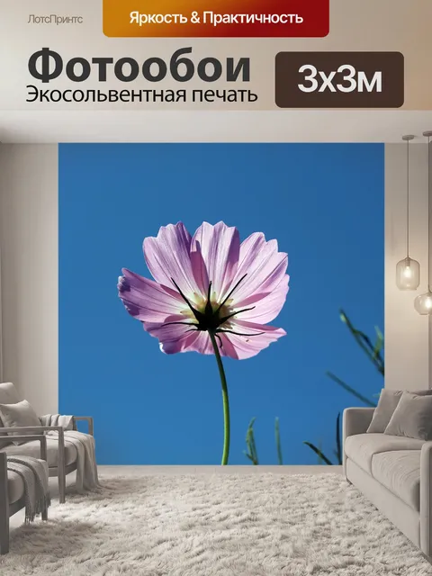 Фотообои Космос