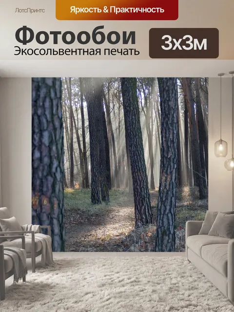 Фотообои Лучи солнца