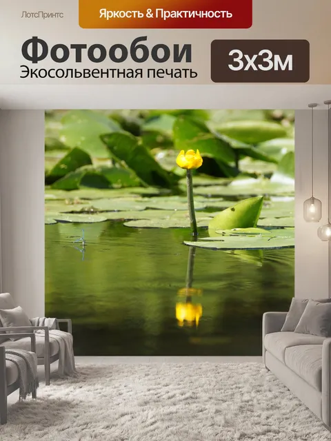 Фотообои Желтая водяная лилия пруд роза цветок