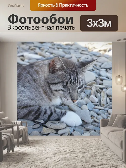 Фотообои Кошка