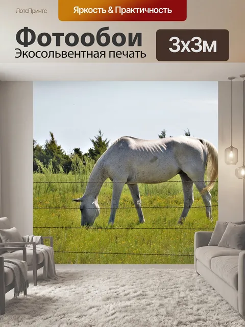 Фотообои Белая лошадь в желтых полевых цветах