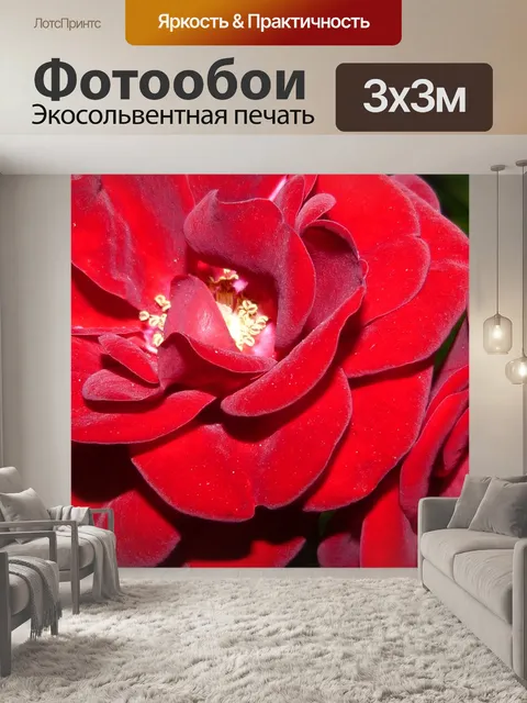Фотообои Розы
