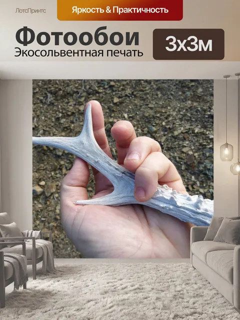 Фотообои Рог косули