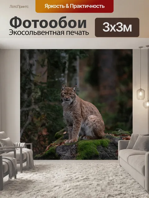 Фотообои Рысь