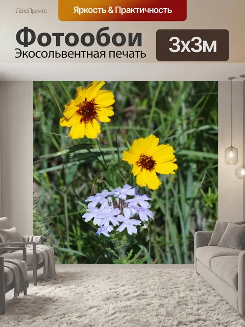 Фотообои Космос и макет Вербей Полевые цветы