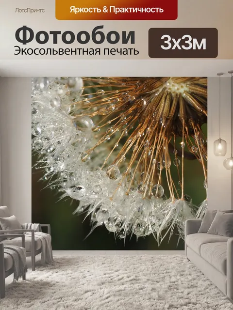 Фотообои Одуванчик