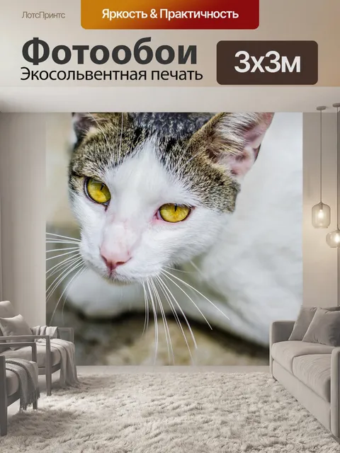 Фотообои Глаза