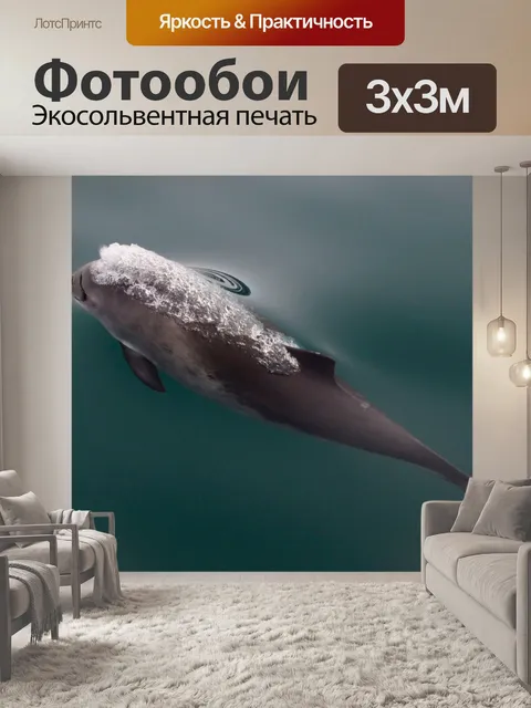 Фотообои Дельфин