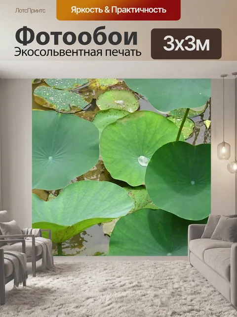 Фотообои Лотос