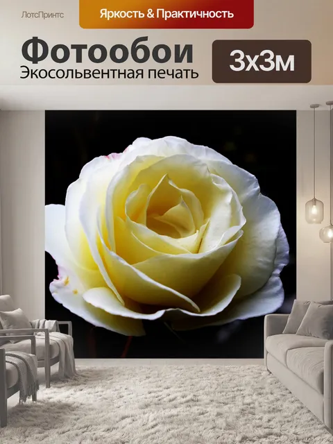 Фотообои Большие белые розы