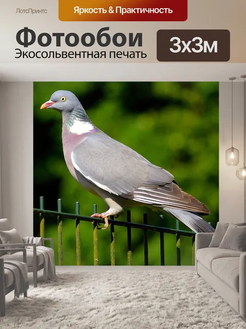 Фотообои Лесной голубь