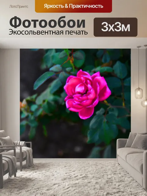 Фотообои стилизованное фото розовой розы