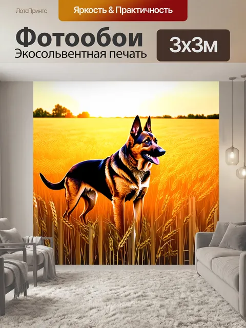 Фотообои описание: изобразите немецкую овчарку в поле, окружённом золотыми полями пшеницы под светом вечернего солнца