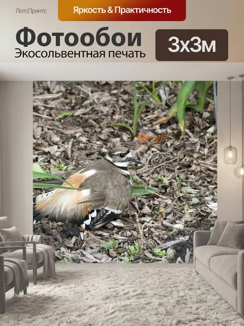 Фотообои Убийца