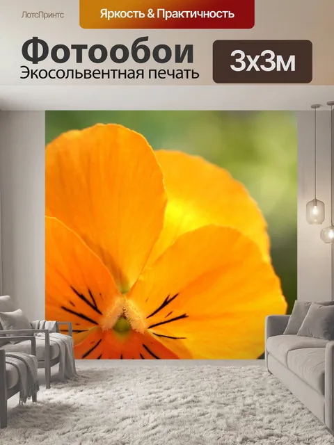 Фотообои Анютины глазки возбужденный фиолетовый ц