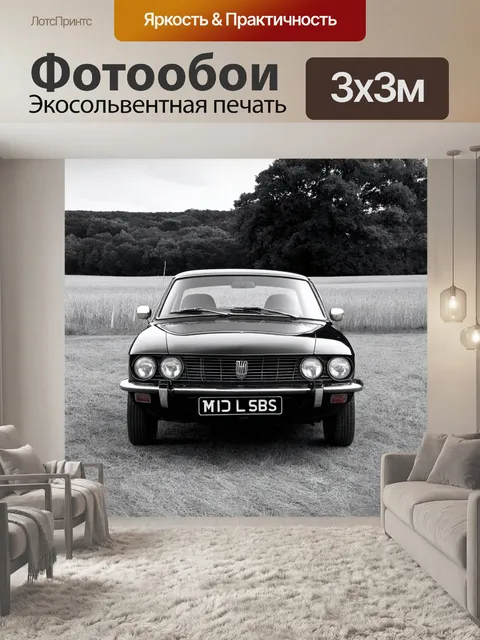Фотообои машина в стиле черно-белый с деревенским пейзажем и ретро автомобилем