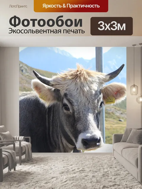 Фотообои Корова
