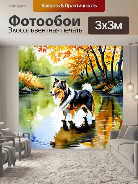 Фотообои на берегу реки, где вода журчит, колли с интересом рассматривает отражения деревьев в воде
