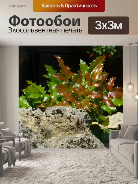 Фотообои Холли