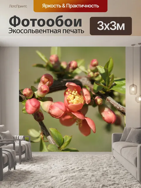 Фотообои Береза японская