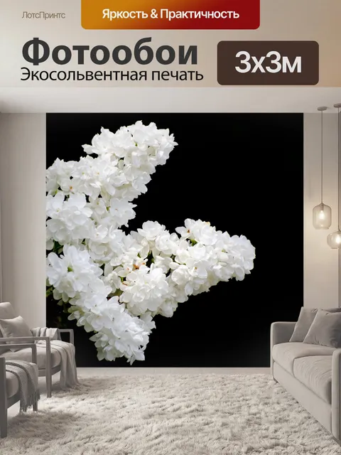 Фотообои Филиал белой сирени