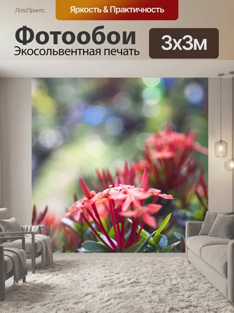 Фотообои Фиолетовый