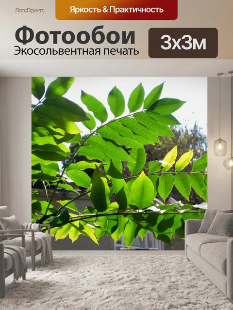 Фотообои Мыс ясеня листья