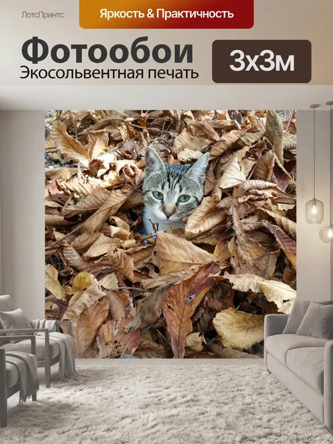 Фотообои Кошка