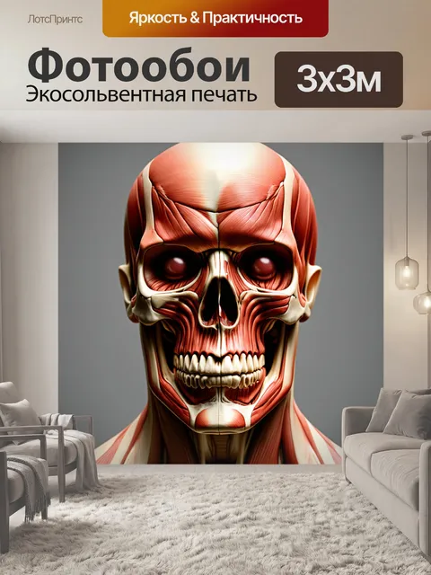 Фотообои визуализация анатомии человеческого лица