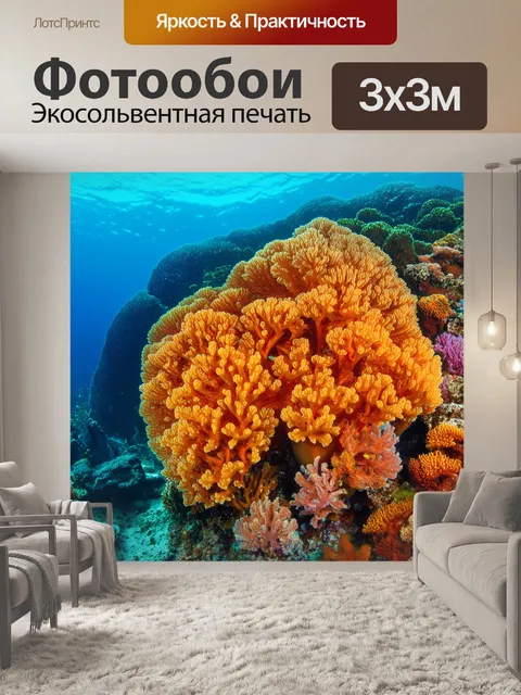 Фотообои оранжевый цвет: морская композиция с коралловыми рифами