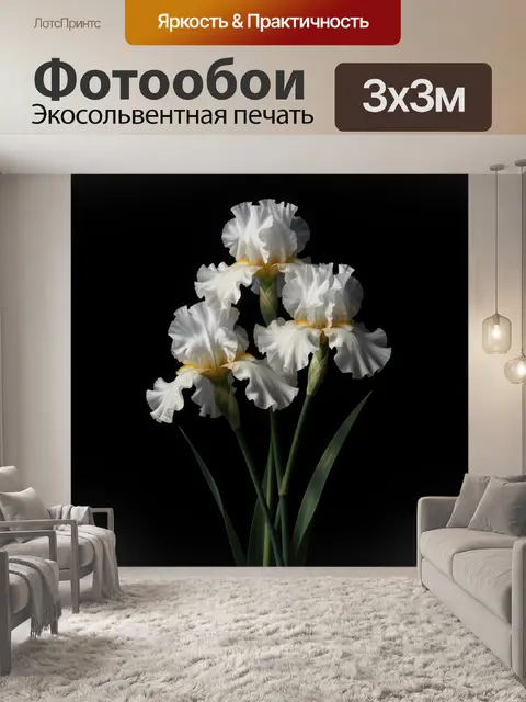 Фотообои Белые ирисы на черном фоне